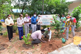 Campaign Nutri-garden and tree plantation