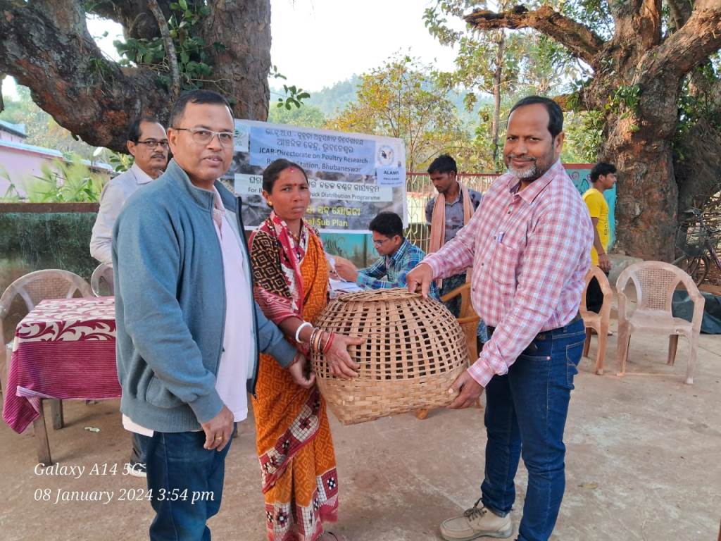 Empowering Tribal Communities: Duck Farming Input Distribution and Training Programs in Kandhamala, Odisha